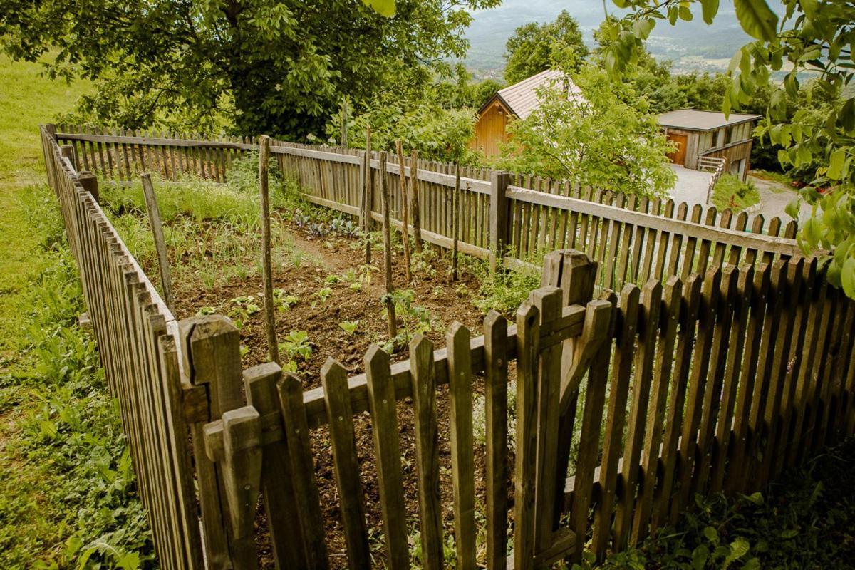 Vineyard Cottage Skatlar 2 Srednje Grcevje Zewnętrze zdjęcie